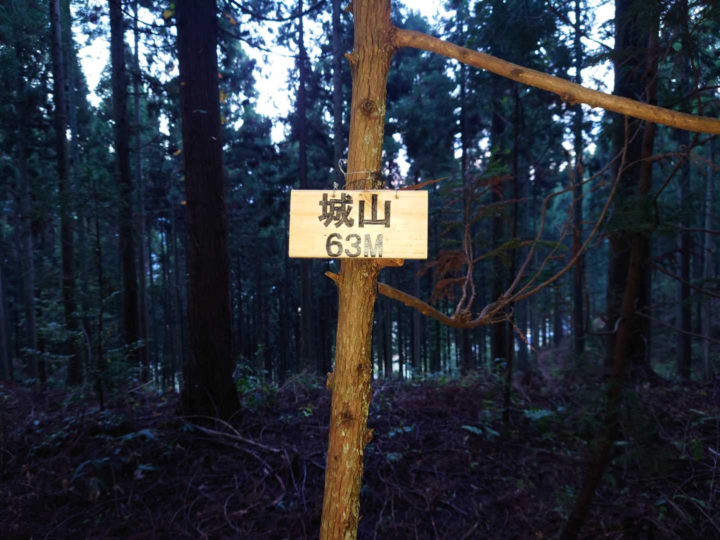 一座め城山山頂到着
のっぽさん🙏