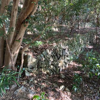 段々畑の跡。細かい石が綺麗に積まれてます。
何か残念だなぁ😢