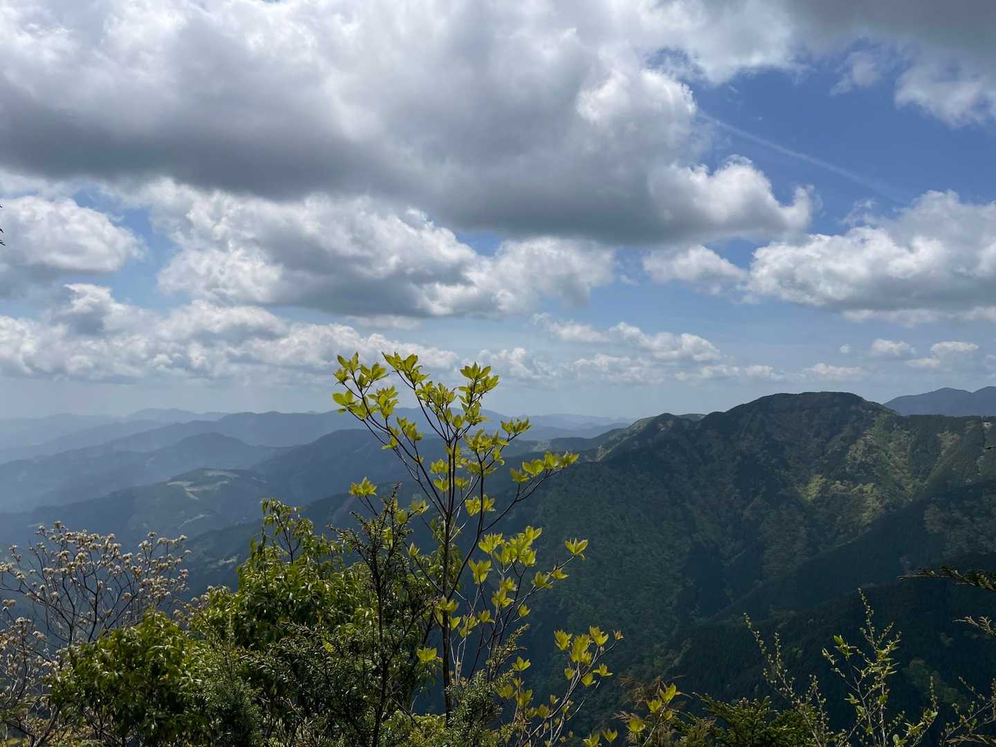 南尾根登山口-大札山 往復コースの写真