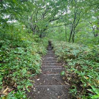 クライマーズハイになり
ダッシュで獣のように下山します🐗