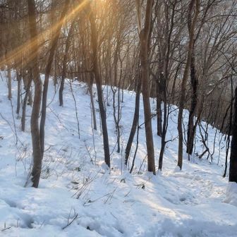 下山中にお日様が雲から抜けました🌅