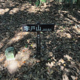 分岐から宇土山山頂にピストンして、