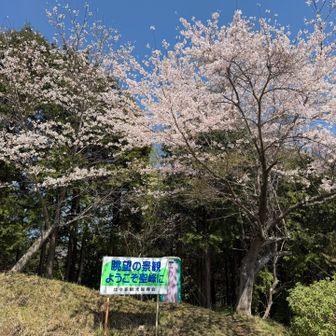 眺望の景観をうたっている🤭