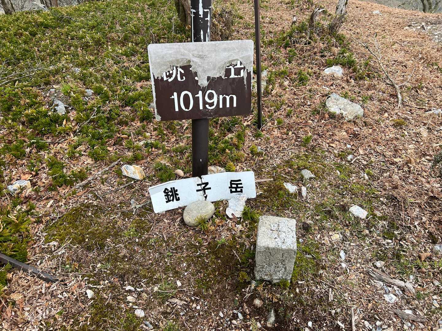石榑峠-竜ヶ岳-銚子岳-治田峠-多志田山-藤原岳-藤原岳登 縦走コースの写真