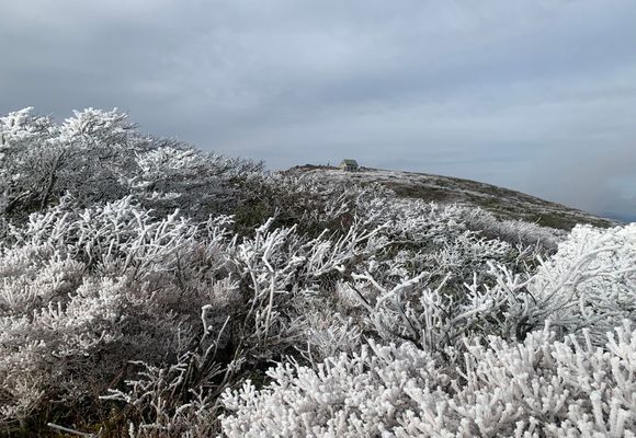 後白髪山（宮城・1423m）| 登山ルート・天気 | YAMAP / ヤマップ