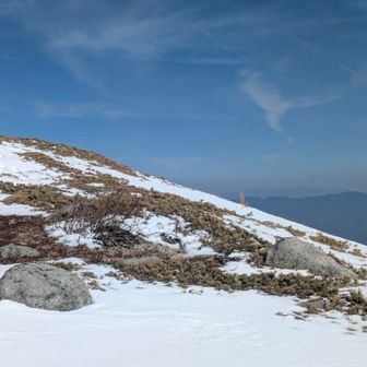 あんなとこにガーって飛んでこないかな…