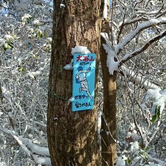 うん⚾️
世界中で愛されてるね