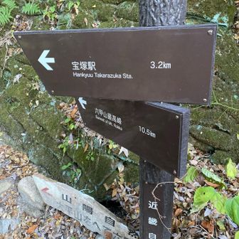 塩尾寺まで降りて来ました。
あと、3キロ…😂