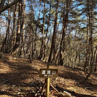 道満山　通過
落ち葉🍂足滑らすこと多々💧