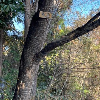 4座目東山
４６０m