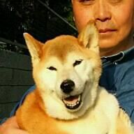 63式メタぼっち