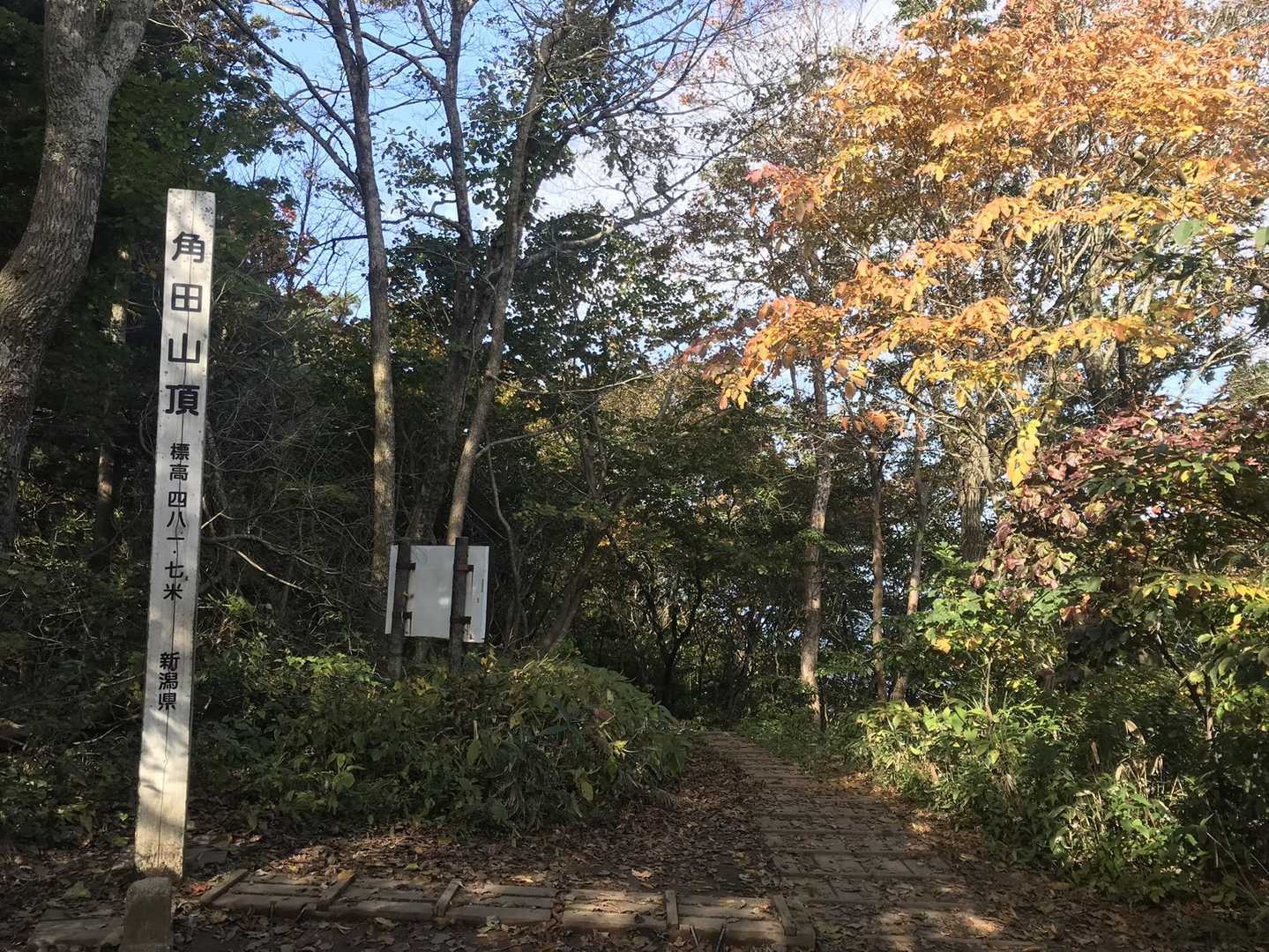 宮前コース登山口-角田山 往復コースの写真