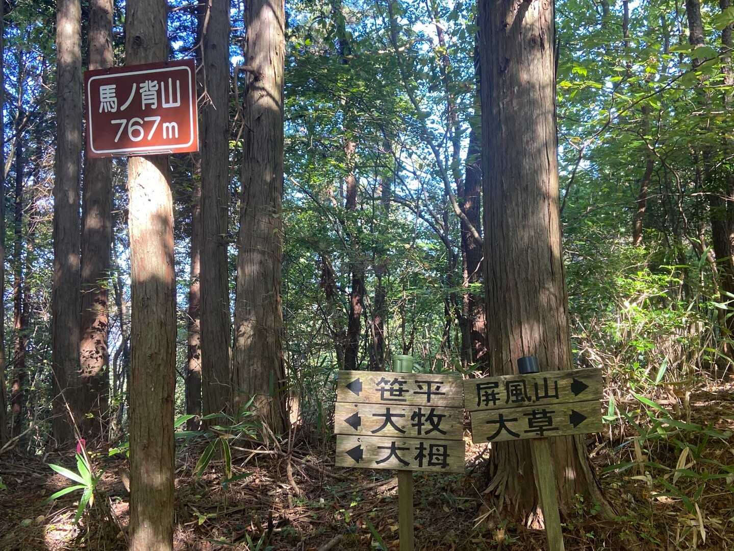 馬の背山の写真