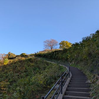 整備されてて超楽ちん