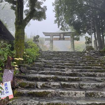 参道をのぼりお参りいたします🙏