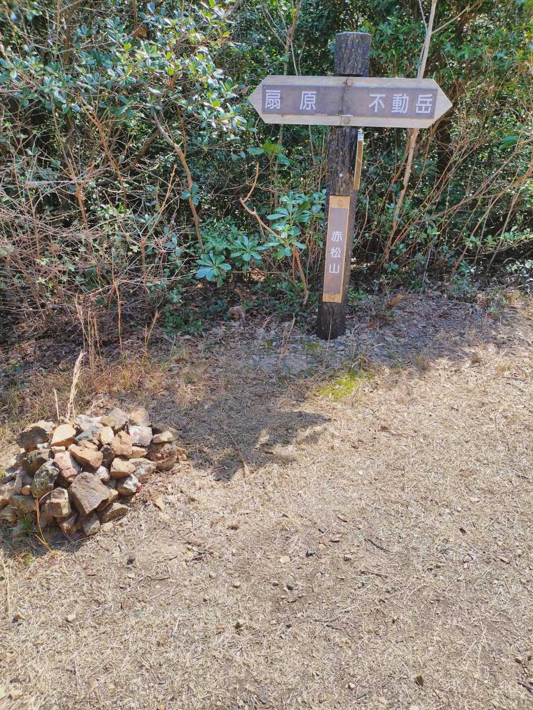 赤松山

通ってきた山々の名前覚えられない😓