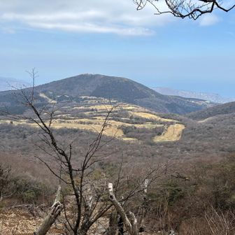 いい感じ
正面のお山の右側に薄らと大室山
その奥に相模湾