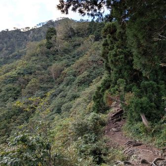 木々も低くなり山頂方面が見えてきました