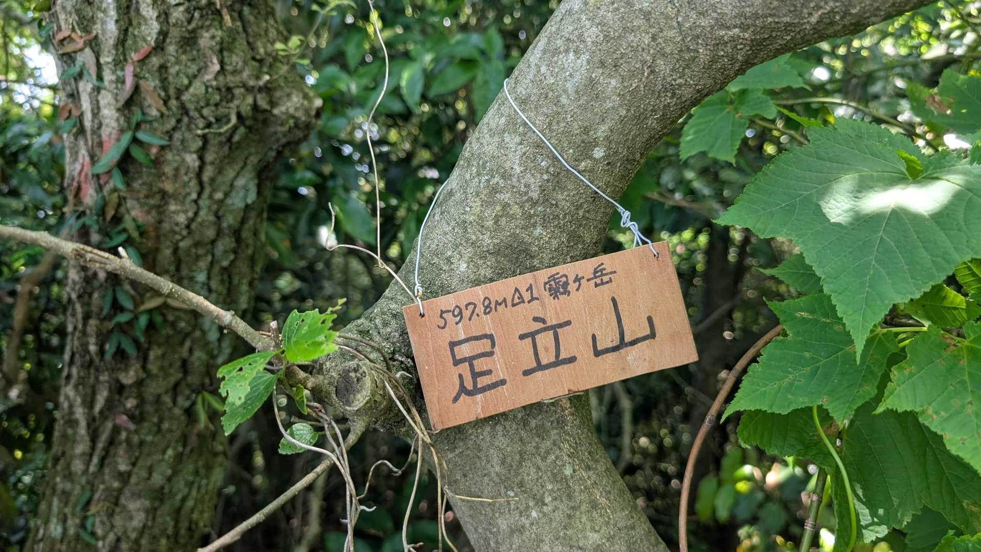 妙見山登山口-足立山 往復コースの写真