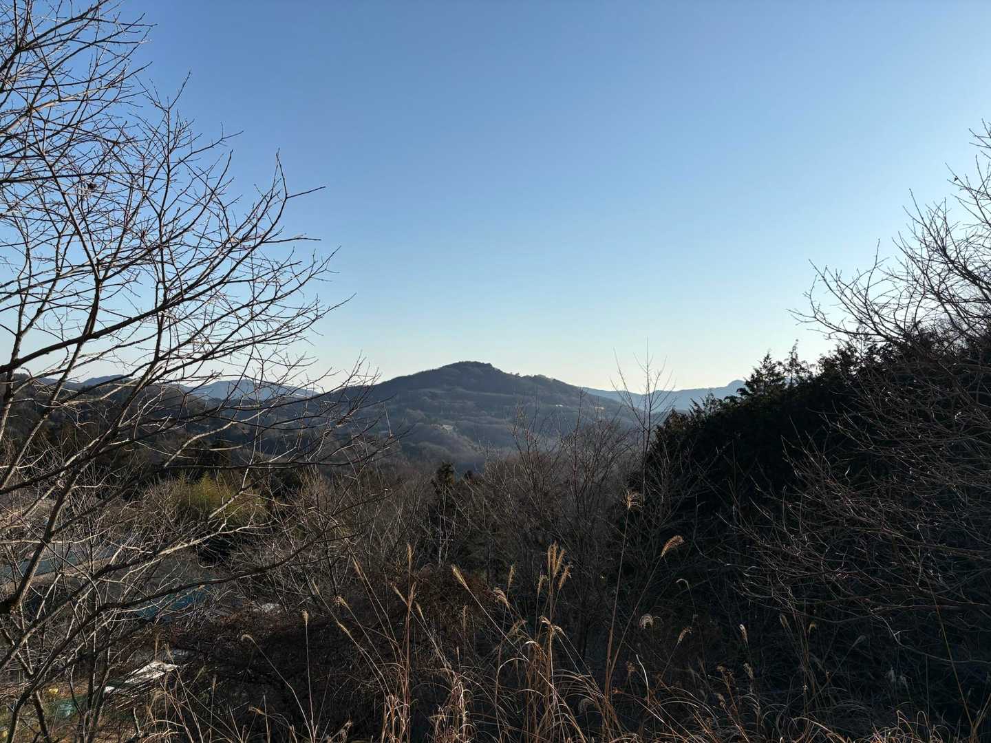 東屋のある眺望スポット👀
宝登山⛰️