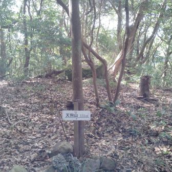 階段地獄の分岐から天狗山まで16分で着いたよ！