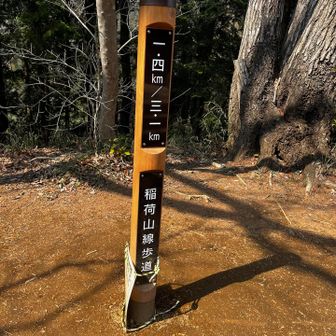 ここ稲荷山のピークと思ったけど、看板見たらそんな事書いてない！ここやったんかなぁ。