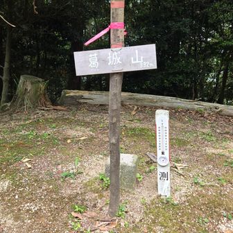 右の杭を使用(-_-;)