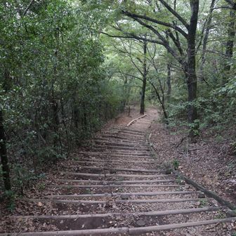 南回りルートも整備されてとても歩きやすい
です。暗くなり始めていましたが、散歩中
の方とすれ違いました。