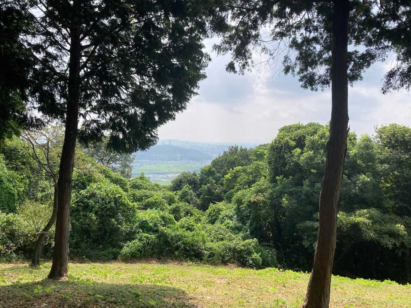山頂の展望はここのみ