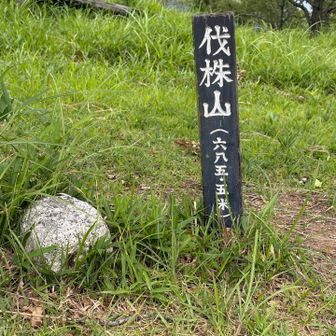 初めての山頂に感激！