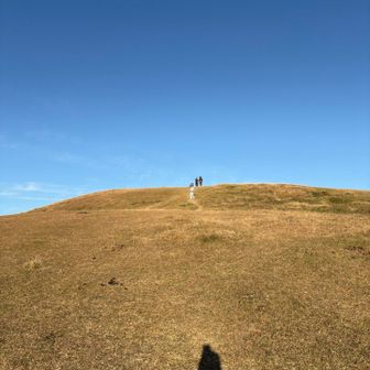 頂上目指してみます