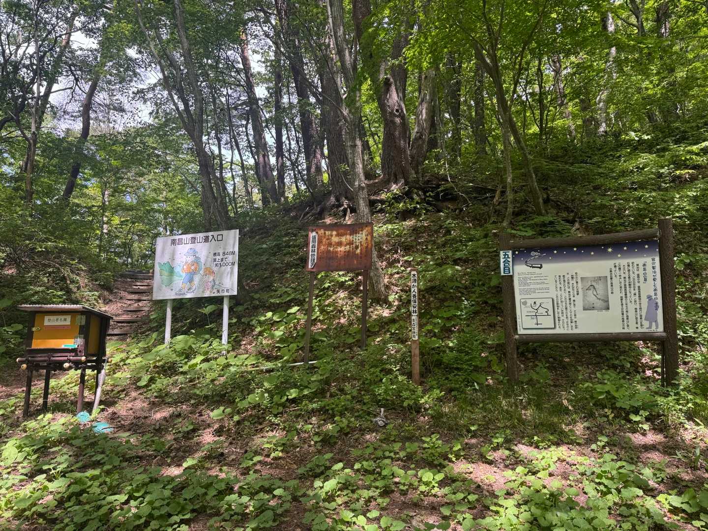 ここまで出会ったのはｶﾓｼｶ🦌