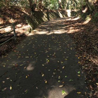 ココから先は殆ど舗装路