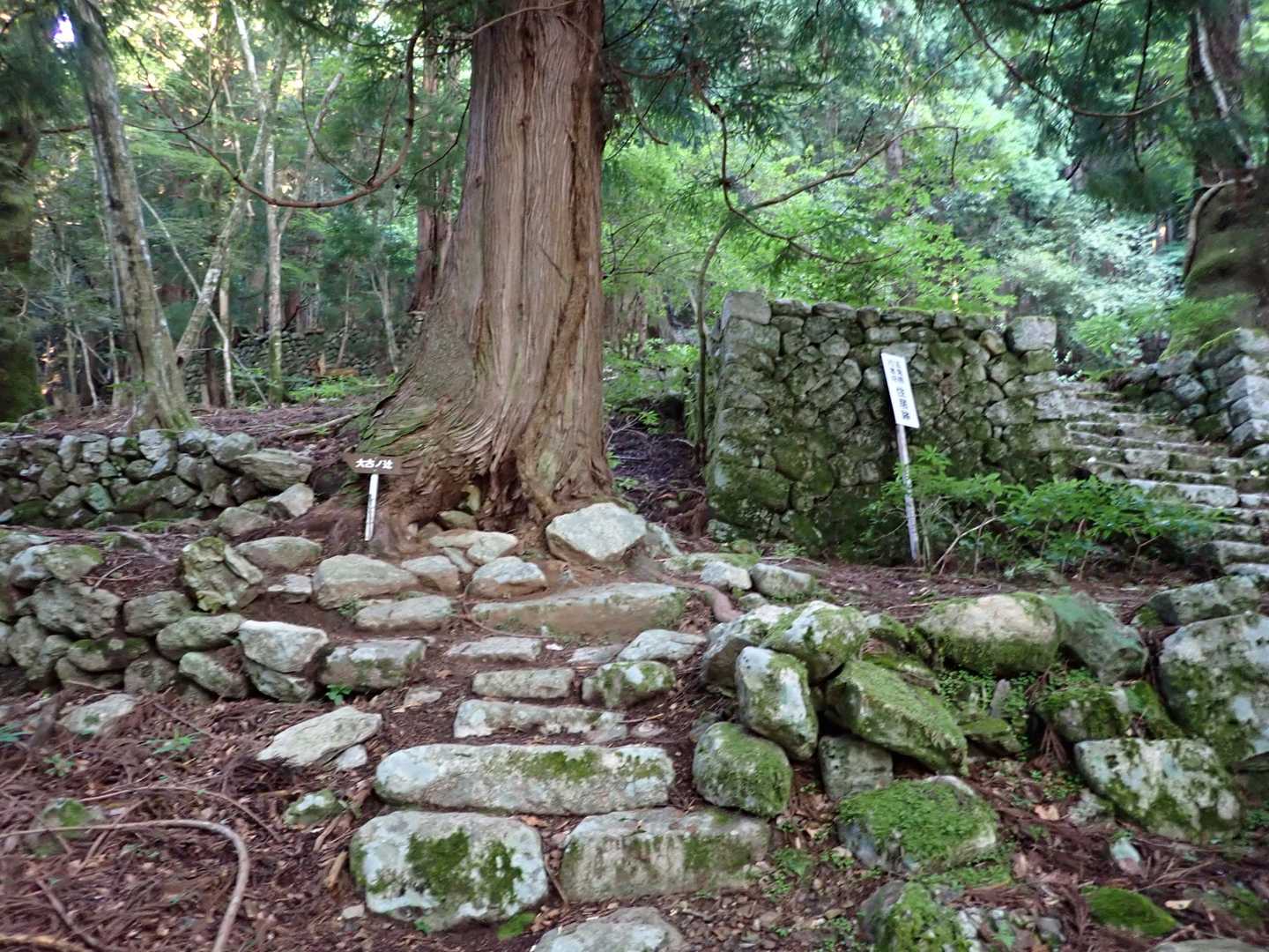 釈迦ヶ岳 往復コースの写真