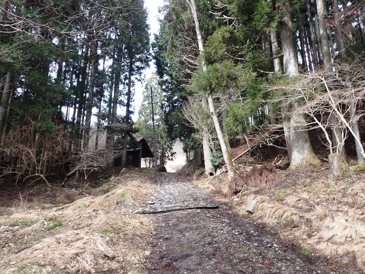 てくてく