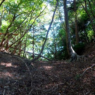 こんな峠
