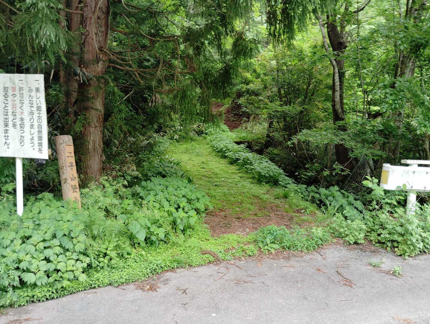 登山口の草は刈ってあった