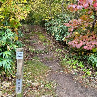秣岳登山口到着
須川高原温泉♨️入りたいのやまやまですが
秋保温泉に宿泊の為移動します
次の日に山形県の山寺と呼ばれてる立石寺を
予定に入れてます