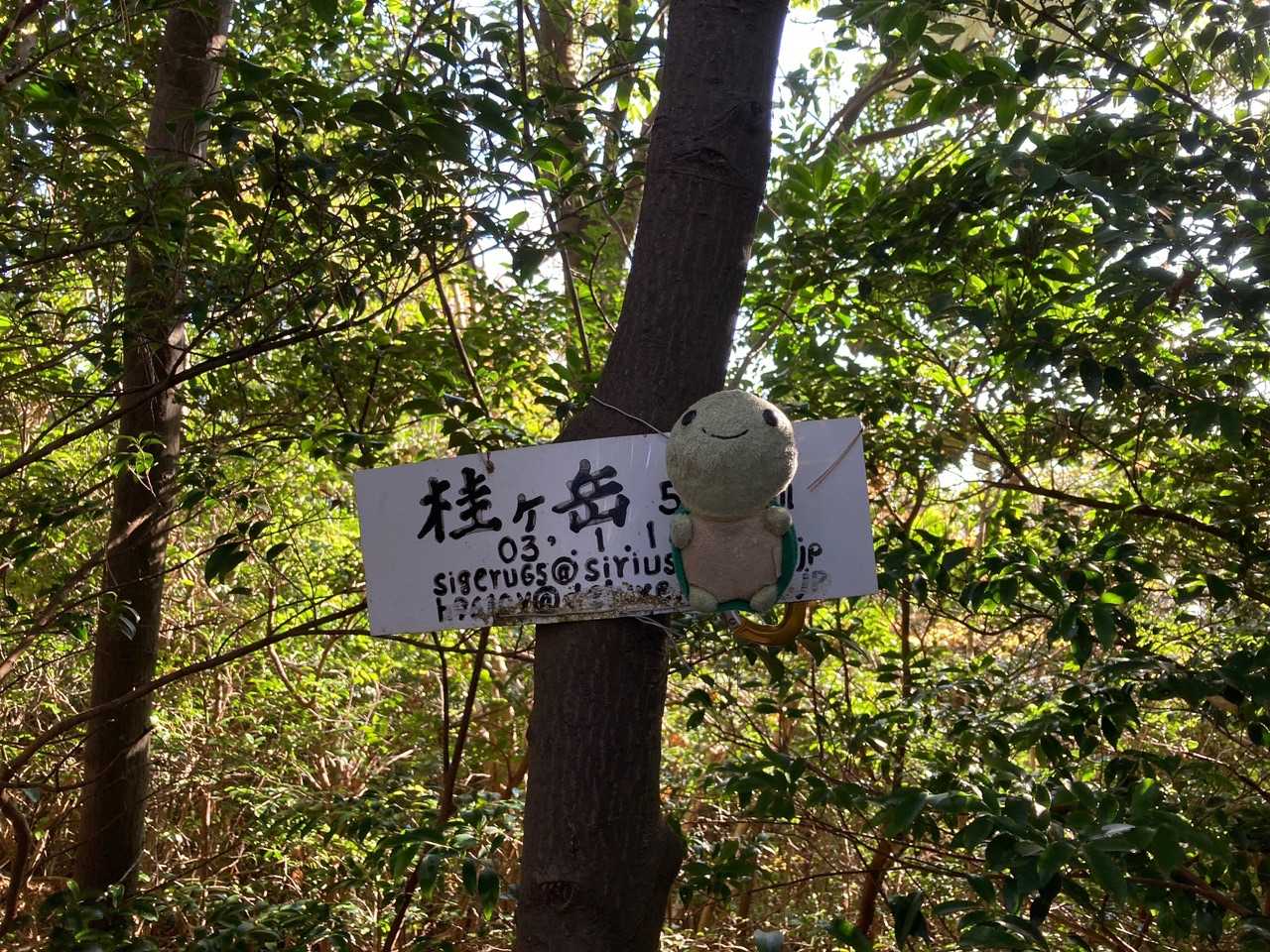 着いたぁ～🤗