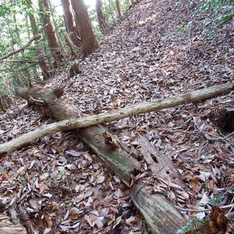 振り返って。✖にみえるけど偶然でしょう。普通に通れました