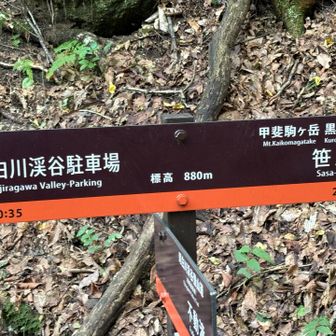 下山は疲労感いっぱいで写真少な目
残り35分を見てうんざり…