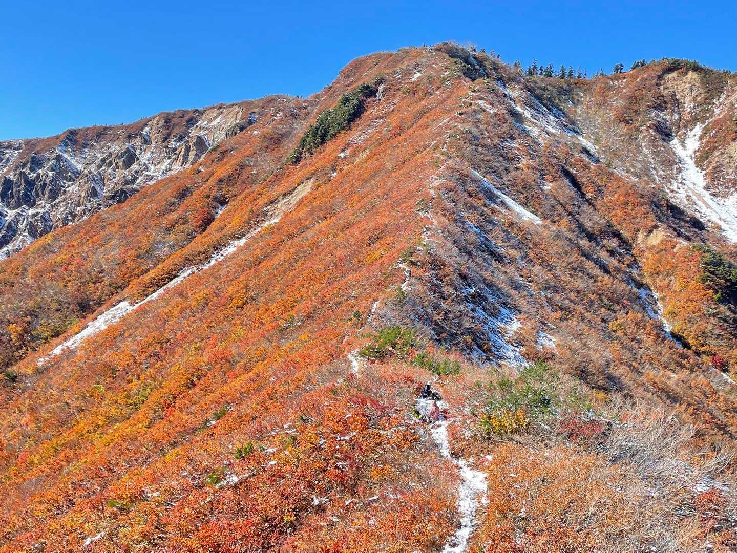 赤頭山 山頂に到着。 ババーン‼️と目に飛び込んでくる絶景♪ 野谷荘司山に続く稜線、綺麗です✨
稜線の上部や右側はもう色褪せていました。