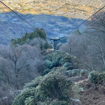 楽ちん、下まで6分。すぐバス来るかな😰