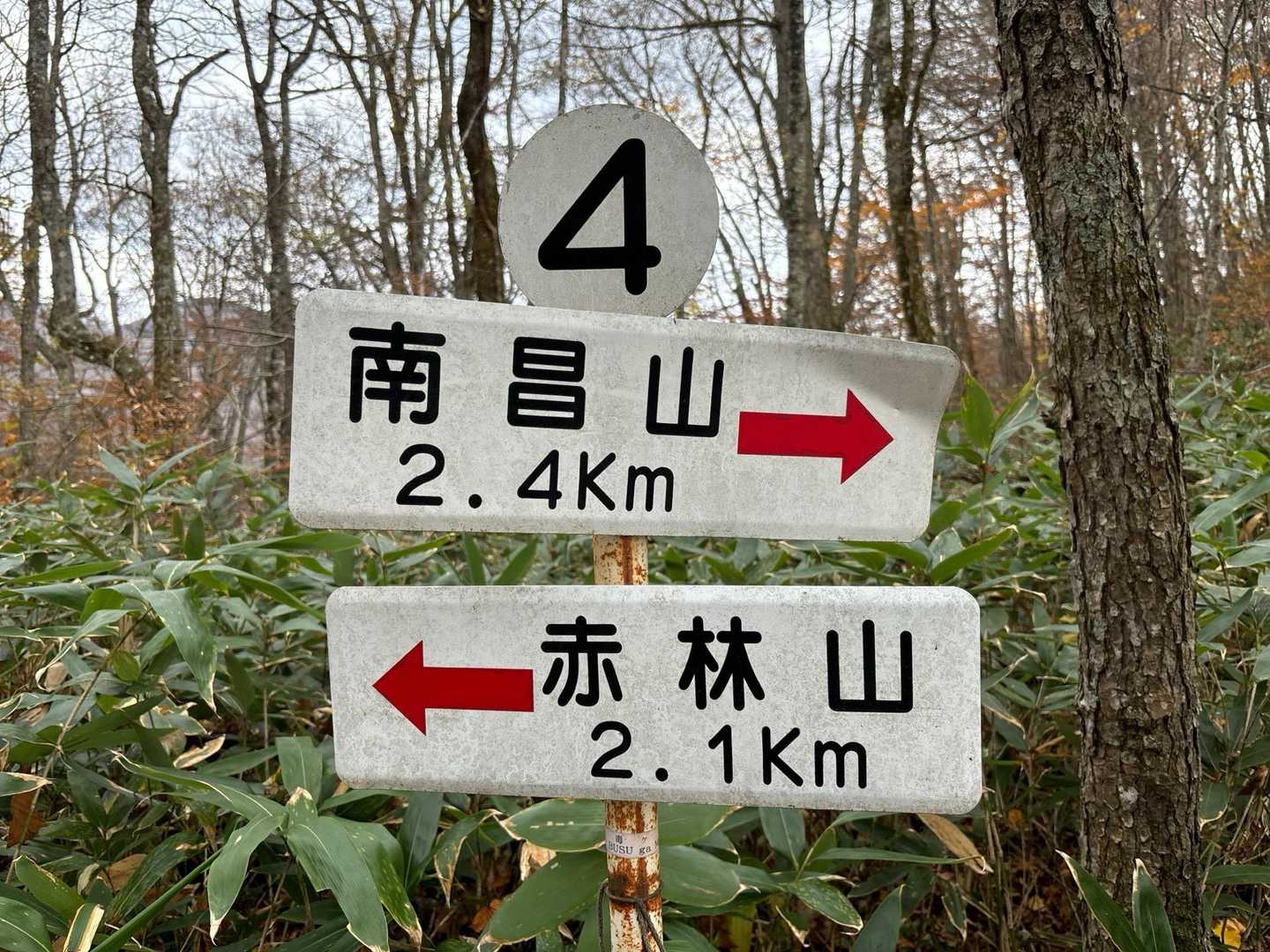 赤林山矢巾温泉登山口-赤林山-西赤林山-ノロキ山-南昌山- 周回コースの写真