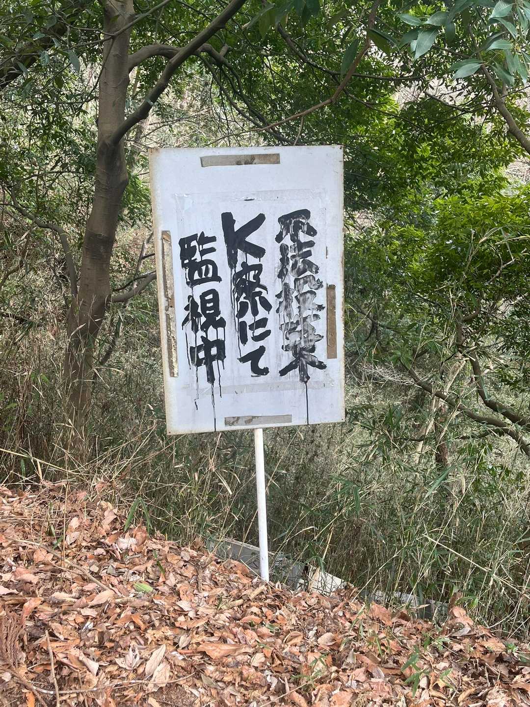 K察…🤣