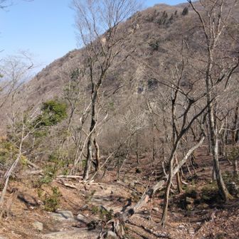 わりと歩きやすいです

前方には、先週歩いた稜線が見えます👀