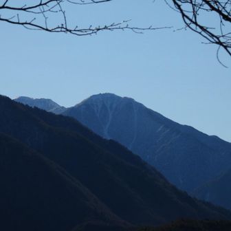 麦草と奥に木曽前岳