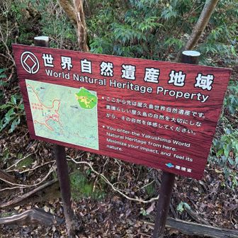 ここで世界遺産地域が終了