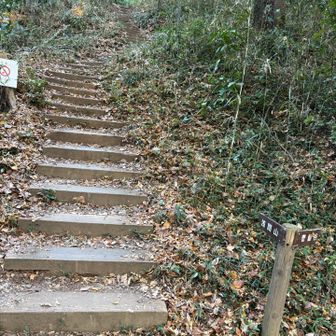 小沢峰を少し下ってくると分岐があり、浅間山へは階段を登っていきます。