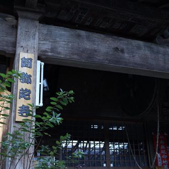 阿弥陀寺まで降りて、塔の沢の駅から
電車で強羅駅へ戻って、車を回収しました🚗³₃
次は金時山へ歩きたい😃